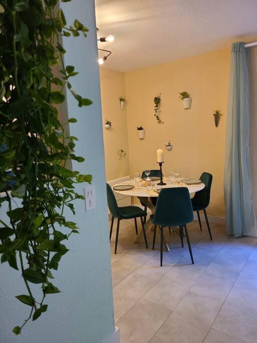 Joli Studio Renove Situe Au Pied Des Thermes Амелі-ле-Бен-Палальда Екстер'єр фото