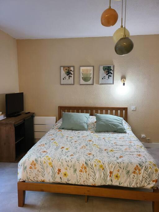 Joli Studio Renove Situe Au Pied Des Thermes Амелі-ле-Бен-Палальда Екстер'єр фото